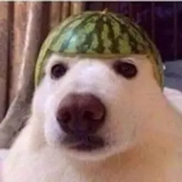 Зяби1488