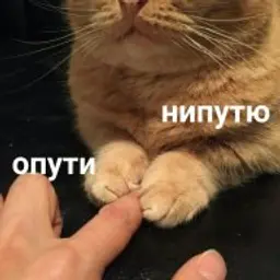 Winst0n