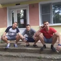 боровинк
