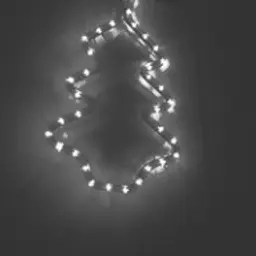 SillyConXd222