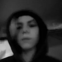 darya22813373