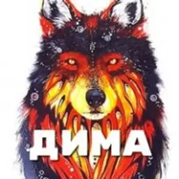 DimaHAXALL