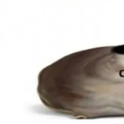 Coldtong1