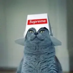 HoliIndag