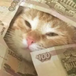 mnstrum