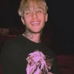 fardflex