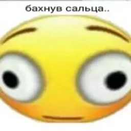 Debil2004