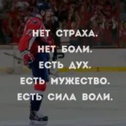 matvey23124