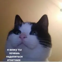 RedikGard228666