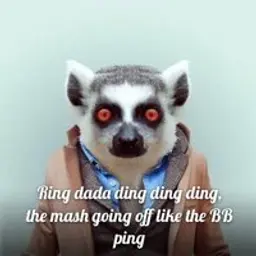 XXchi