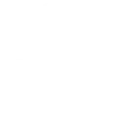 iNinja_inactive2740347
