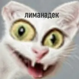 киряяяяяяяя