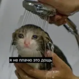 lukofka
