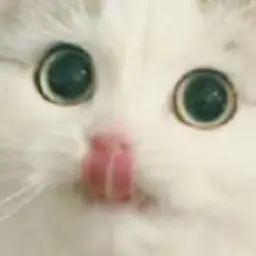 CuteKy