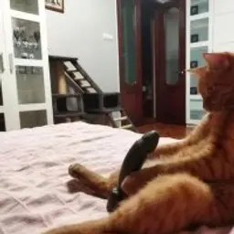 BodyFoder
