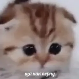 ЛичностьЛичности