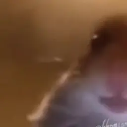 Стальной_Сапог