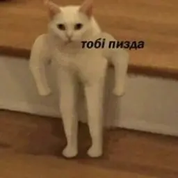 vifvif223