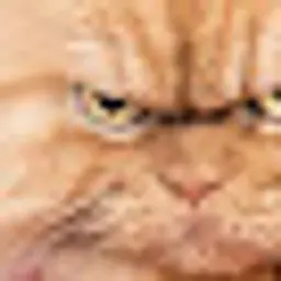anderfa