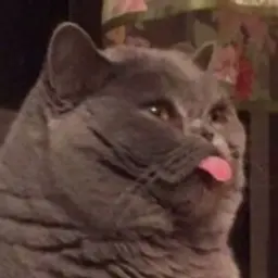 GoodLolMister