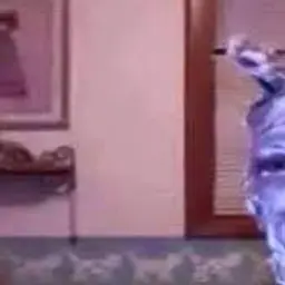 ey_si