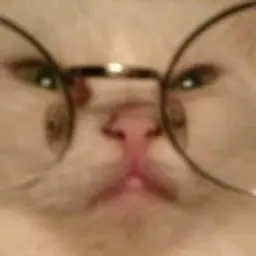 hmoebanoe