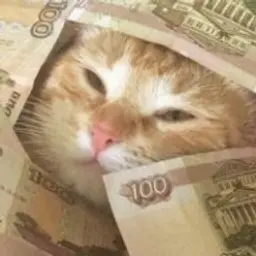dnasjwidfdbjwe