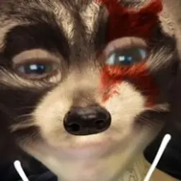 VINCHI56