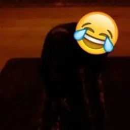 igg_metkij