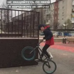 Avvvsss230