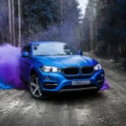 barsov1337