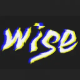 wise123