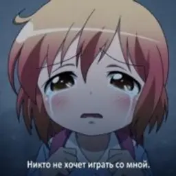 babocka_kot