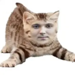 NikoLolz