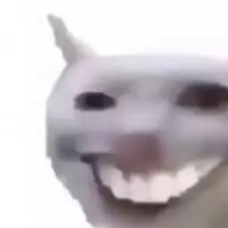 hEK777