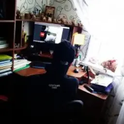 Lis666