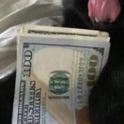 ilovesnikers