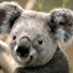 sdgdfhdfhfgghf