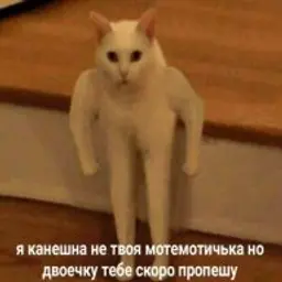 effectcekcu