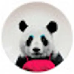 Sergio_inactive2977793