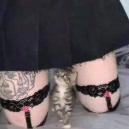 kneewe