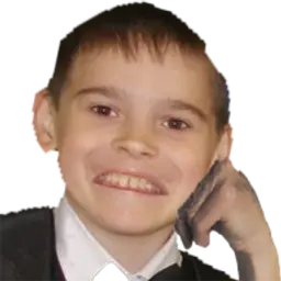 boroveen