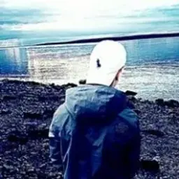 id537588317