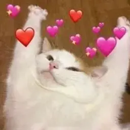 danilka_zzzz