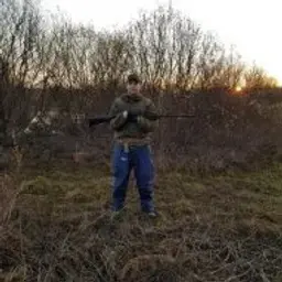 mikhailovg