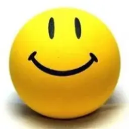 yyyyy4