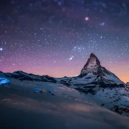 Stary