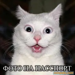 Naydanov