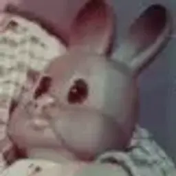 id20699073