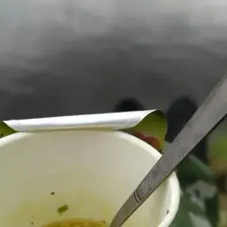 pokatuschin